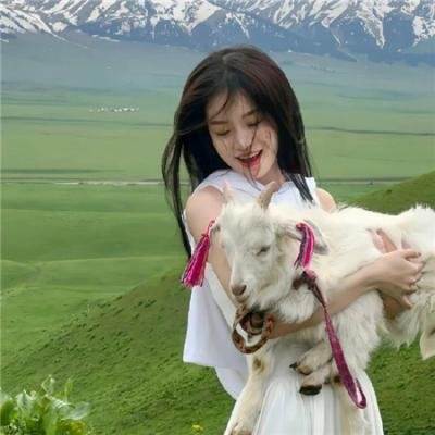 洋基的骄傲